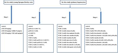 Li-Dan-He-Ji Improves Infantile Cholestasis Hepatopathy Through Inhibiting Calcium-Sensing Receptor-Mediated Hepatocyte Apoptosis